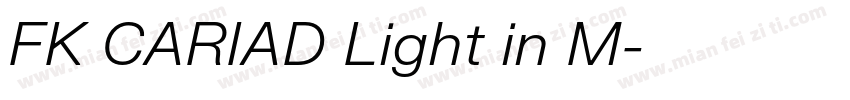 FK CARIAD Light in M字体转换